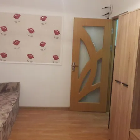 Dandelion Apt Constanta